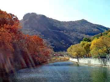 新澳天天开奖资料大全旅游团，安眠药哪里买